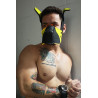 Breedwell Masque Poundtown Pup Breedwell Noir-Jaune